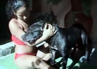 Black dog railing her body