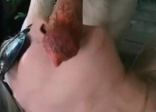 Sucking off a hot dog cock