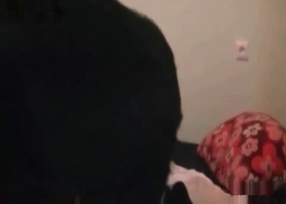 Black animal getting all the pleasure