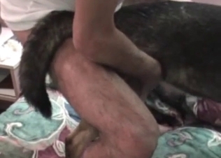 Cute doggy exploring its sexuality