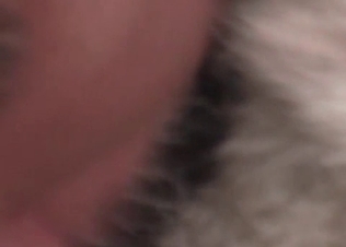 Cute doggy exploring its sexuality