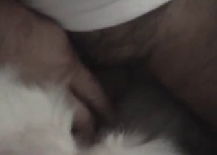 Cute doggy exploring its sexuality