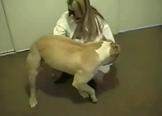 Cute pet fucking a hot blonde
