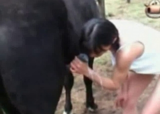 She swallows that delicious horse cum