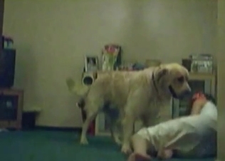 Dog gets seduced by this chick