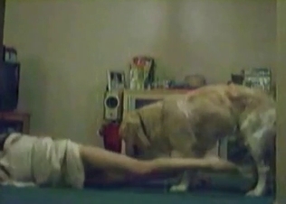 Dog gets seduced by this chick