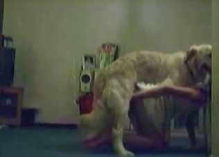 Dog gets seduced by this chick