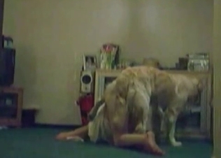 Dog gets seduced by this chick