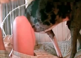 Owner fucked by a pup