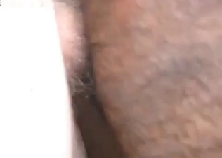 Horse fucked from the rear end