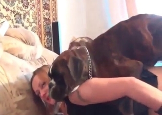 Intense animal fucking