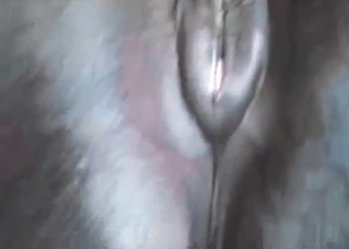 Stallion and its used-up anal hole