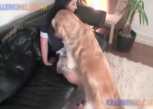 Juicy pussy fucked by a retriever