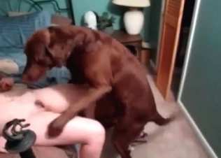 Doberman railing this redheaded slut