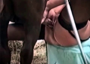 Intense animal-fucking session