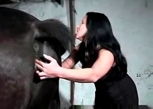 Gorgeous horse loving the perversion of it