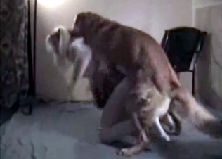 Tiny blonde used by her pet