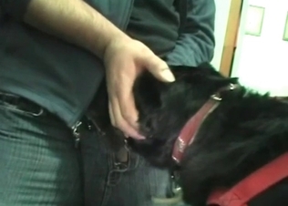 Dog gets to suck this hot cock off