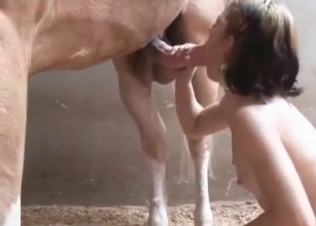 Amazing bestial sex caught on cam