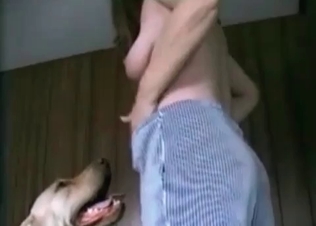 Dog fucking, amateur-style