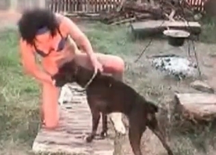 Racy, slutty dog licks pussy