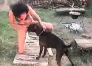Racy, slutty dog licks pussy