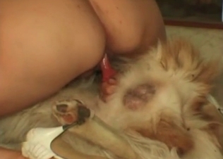 Dog cock getting in there real slow