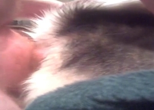 Dog gets to use her asshole