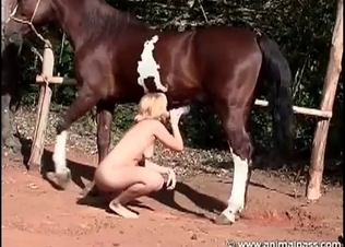 Horse fucking outdoors