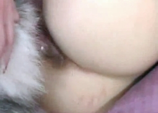 Cutie pup doing dirty things