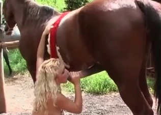 Stunning horse and this blond MILF