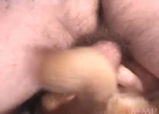 Young doggy getting anal sex