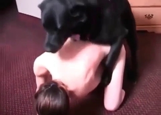 Bedroom bestiality for brunette
