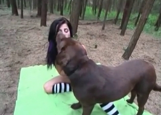 Outdoors fucking for a gorgeous dog