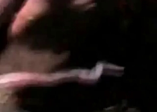 Animal fucking shown up close
