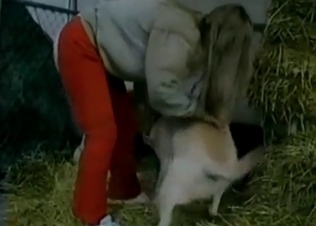 Farm fucking caught on camera