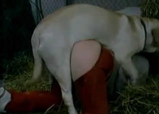 Farm fucking caught on camera