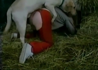 Farm fucking caught on camera