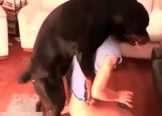 Black dog gets to eat pussy and fuck it