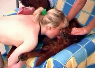 Dog gets an amazing BJ