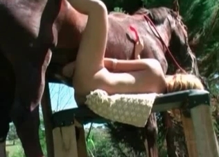 Tight pussy stretched out by a horse
