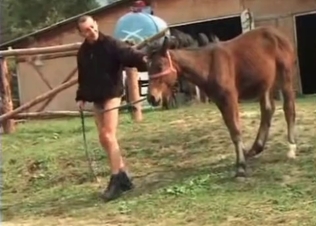Horse cock for Daddy