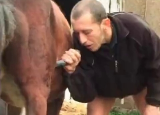 Horse cock for Daddy