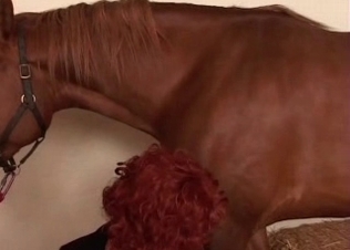 Incredible animal sex