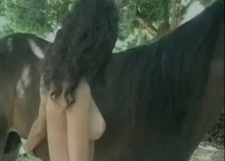 Sexy horse and a perfect chick