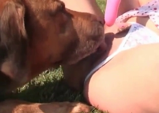 Amazing pussy licking from a mongrel