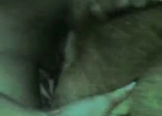 Puppy railed by a thick cock