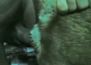 Puppy railed by a thick cock