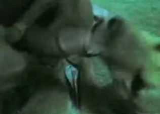Puppy railed by a thick cock