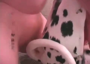 Cute little dog’s ass is destroyed